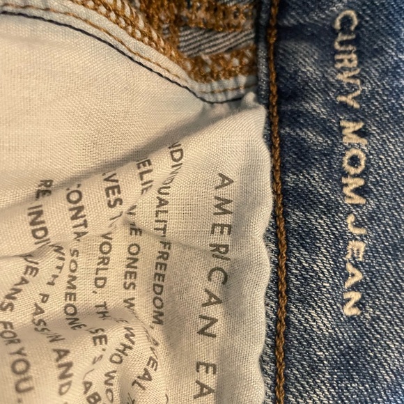 American Eagle Curvy Mom size 6 Jeans - Picture 6 of 9